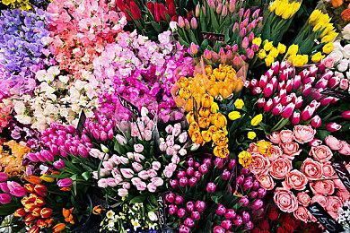 第三人称射击动作冒险游戏《另一个梦境》现已上线Steam商店页